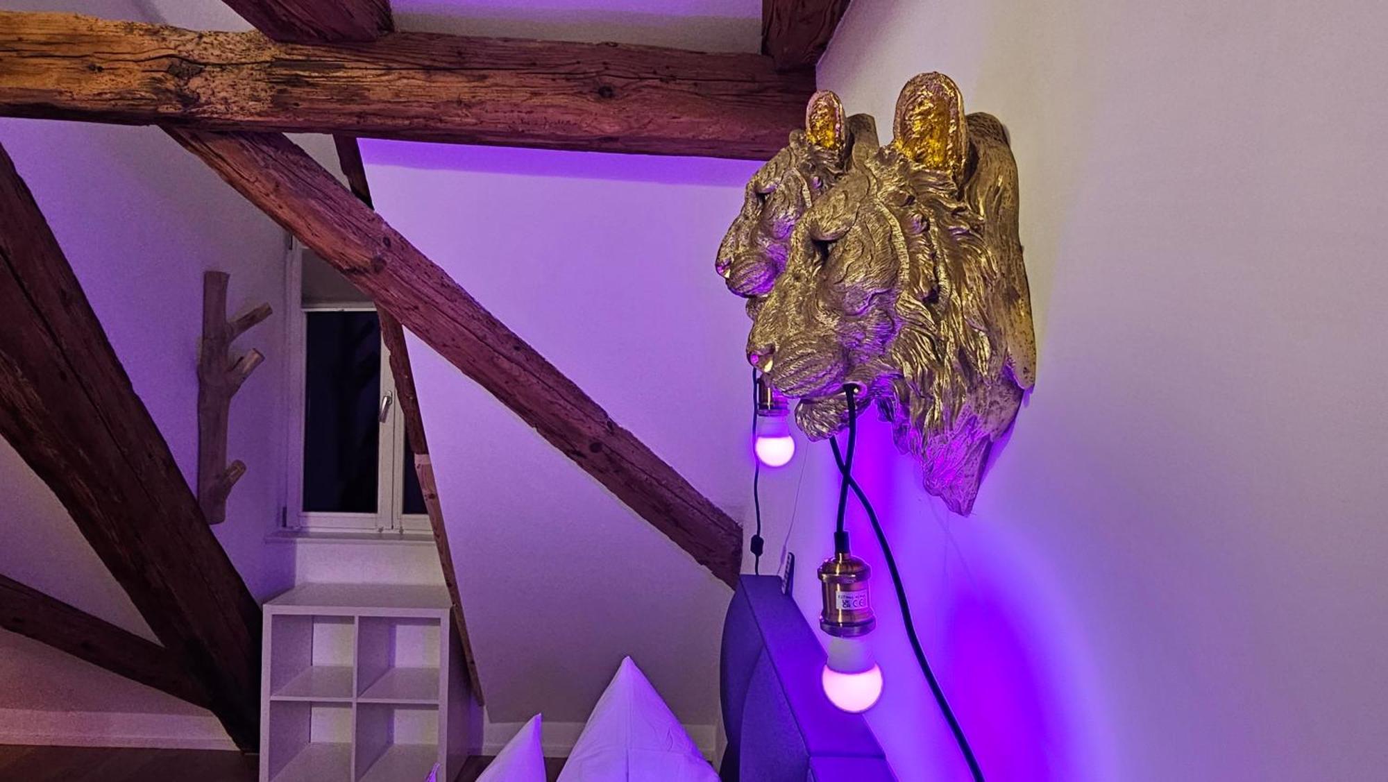 Wood World Luxury - Massage - Bergblick - Tranpolin- Parken Apartment Markdorf Bagian luar foto