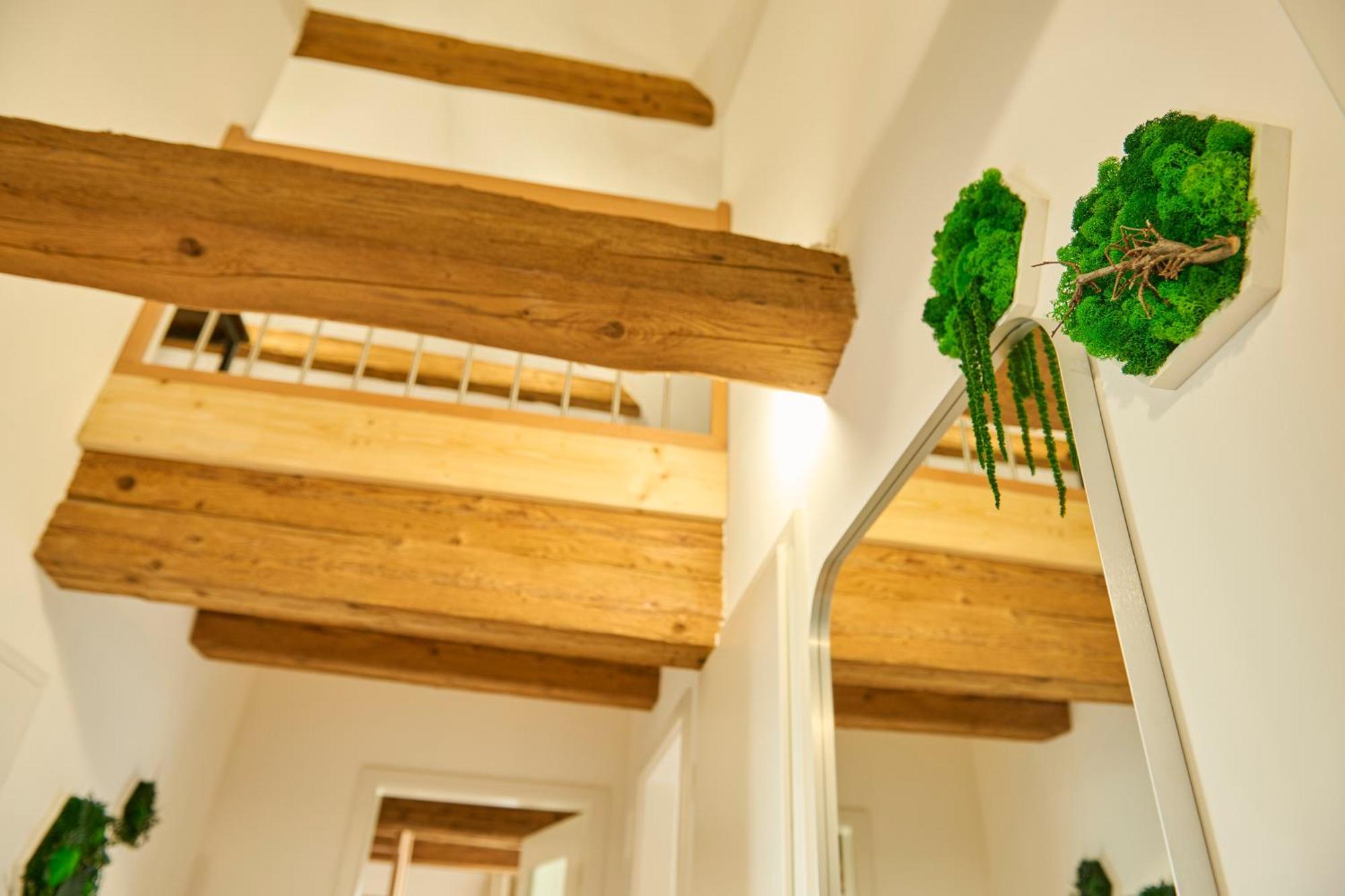 Wood World Luxury - Massage - Bergblick - Tranpolin- Parken Apartment Markdorf Bagian luar foto