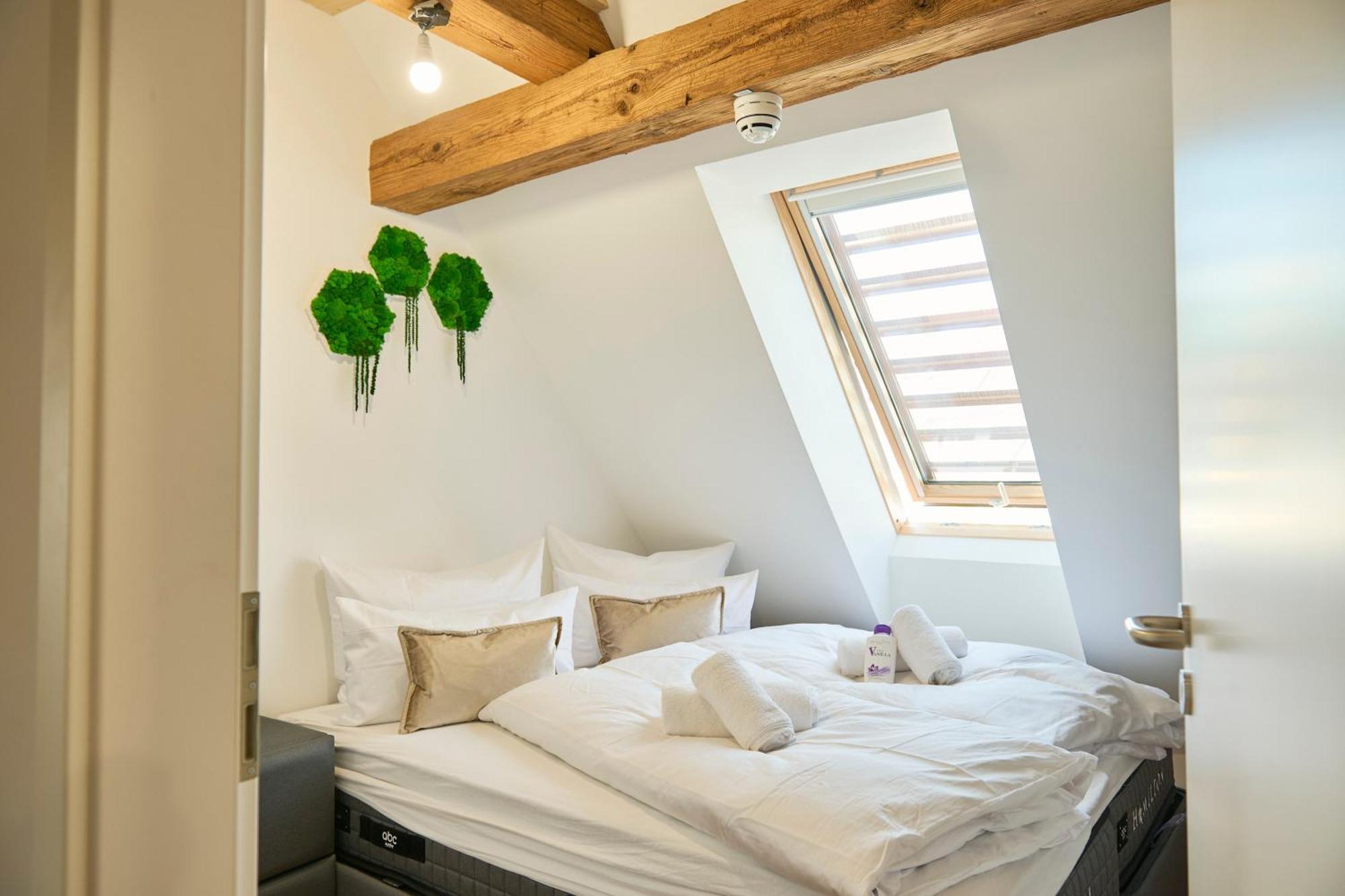 Wood World Luxury - Massage - Bergblick - Tranpolin- Parken Apartment Markdorf Bagian luar foto