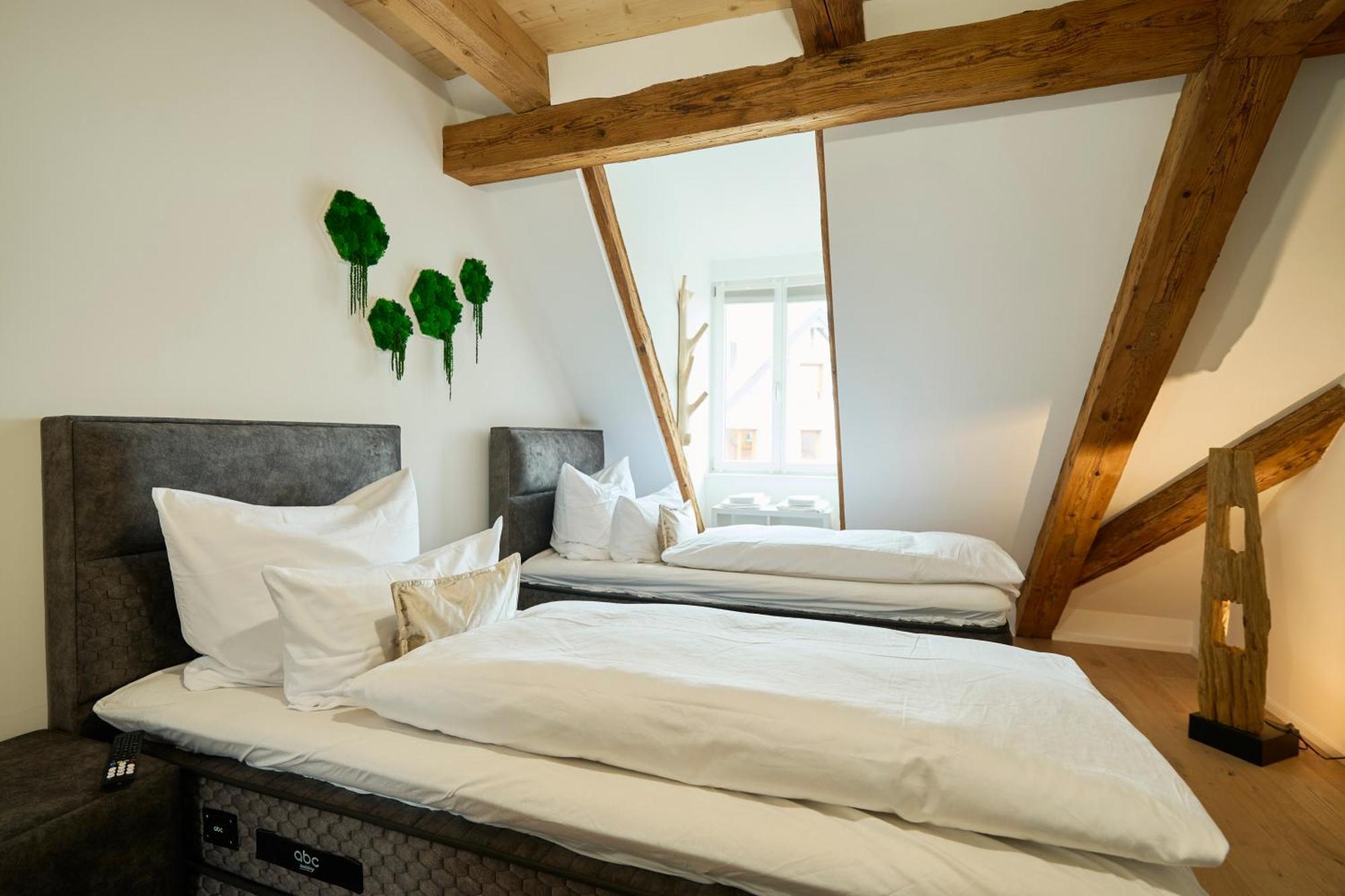 Wood World Luxury - Massage - Bergblick - Tranpolin- Parken Apartment Markdorf Bagian luar foto