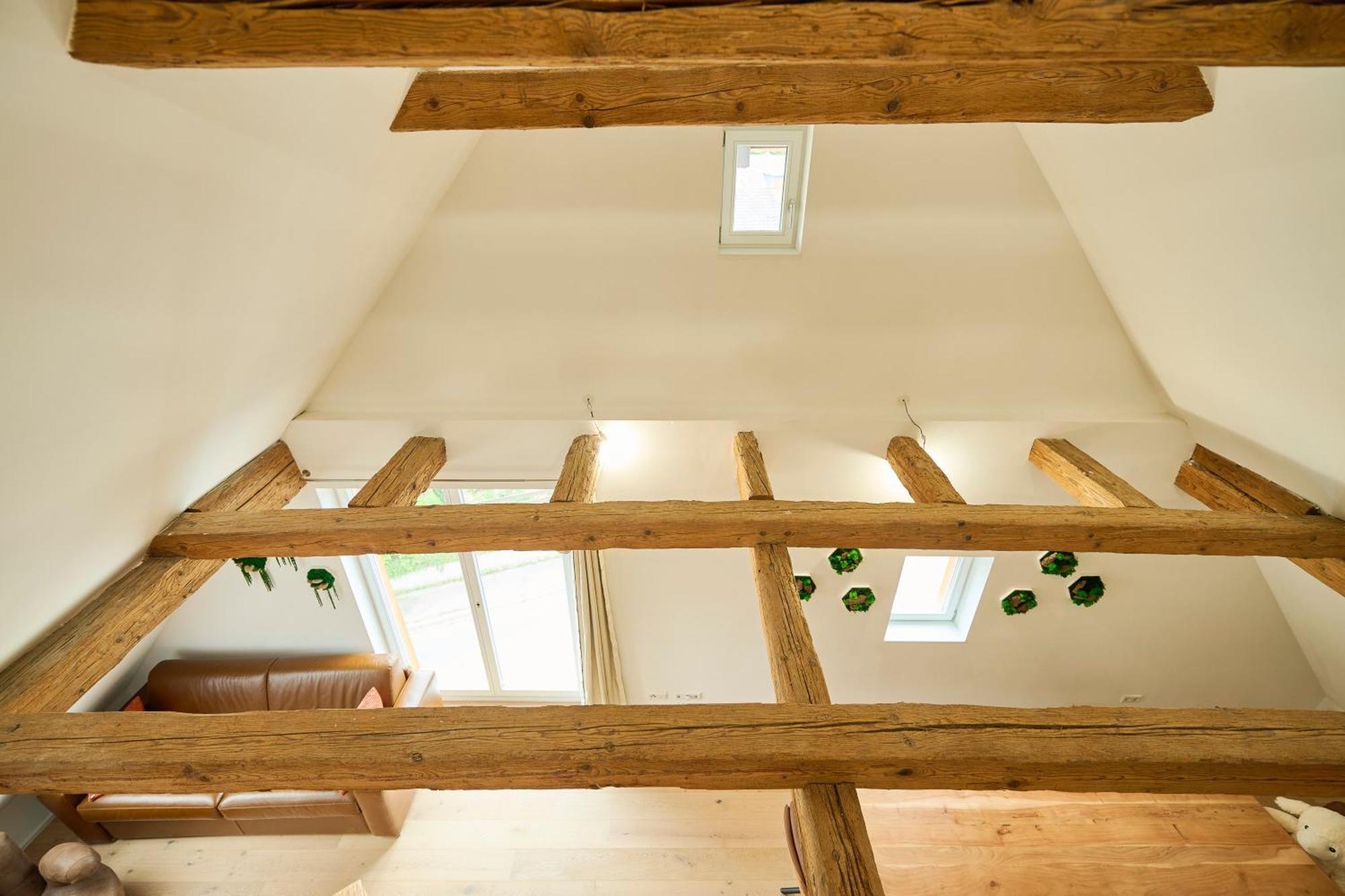 Wood World Luxury - Massage - Bergblick - Tranpolin- Parken Apartment Markdorf Bagian luar foto